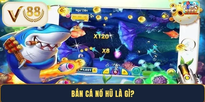 ban-ca-no-hu-la-gi